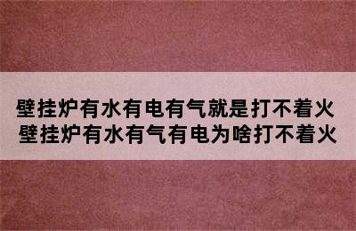 壁挂炉有水有电有气就是打不着火 壁挂炉有水有气有电为啥打不着火